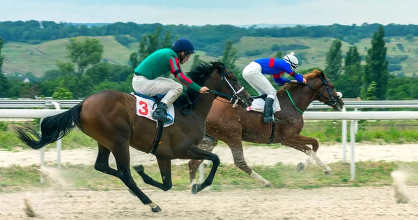 Corrida Cavalos Para Prêmio Tradicional Carvalhos Pyatigorsk Maior Rússia Fotos De Bancos De Imagens