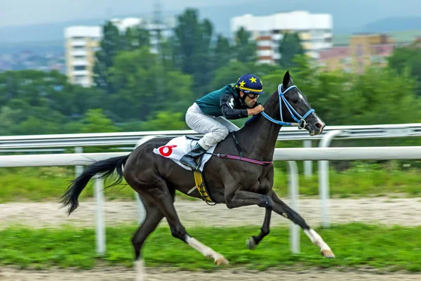 Pyatigorsk Russia Agosto 2020 Corsa Cavallo Tradizionale Premio Railway Worker — Foto Stock