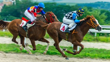 PYATIGORSK, RUSSIA - 2 AĞUSTOS 22020: Pyatigorsk hipodromunda geleneksel Büyük Rus ödülü için at yarışı..