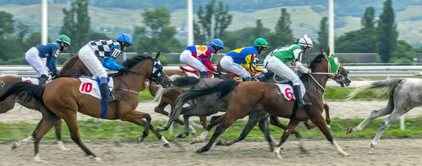 パイヤトゴルスク ロシア 2020年8月2日 伝統的な賞のための馬のレースパイヤトゴルスクのヒッポドロームで大きな夏 ロシアで最も古く 最大の — ストック写真