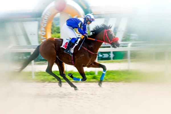 Pyatigorsk ロシア 2020年8月9日 伝統的な賞のための馬のレースPyatigorskヒッポドロームの制限事項マスタージョッキーHamizov Kazbekは茶色のスタリオンでフィニッシュラインを横切ります Fart — ストック写真