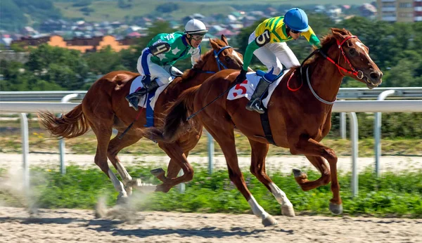 Pyatigorsk Rússia Agosto 2020 Corrida Cavalo Para Prêmio Restrito Hipódromo — Fotografia de Stock