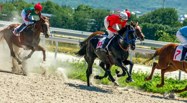 ロシア ピャチゴルスク 2020年8月16日 ロシア最大の競馬場であるピャチゴルスクのセミョン ブドニー元帥賞の競馬が開催されました — ストック写真