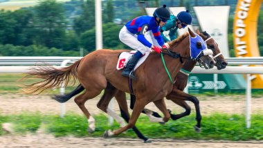 PYATIGORSK, RUSSIA - 23 Ağustos 2020: Uluslararası Arap At Yarışı Federasyonu onuruna at yarışı. Baş jokey Bidzhiyev.