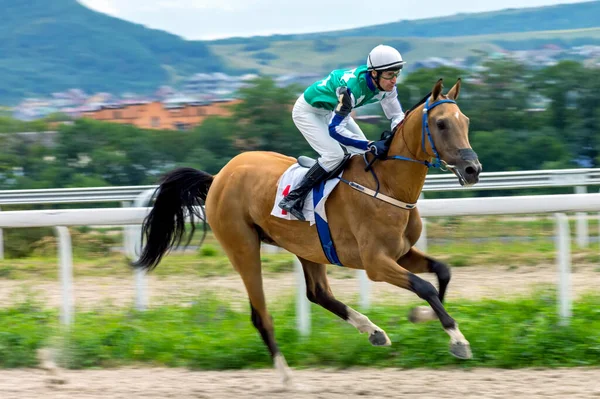 Pyatigorsk Rússia Agosto 2020 Corrida Cavalos Para Marechal Semyon Budyonny — Fotografia de Stock