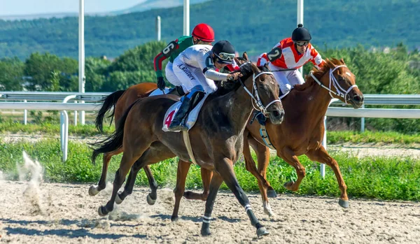 Pyatigorsk Rússia Agosto 2020 Corrida Cavalos Para Copa Das Fazendas — Fotografia de Stock