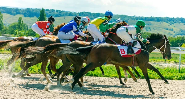 PYATIGORSK, RUSSIA - 29,2020 AĞUSTOS: Pyatigorsk Hipodromu 'nda Rus Aygırları Kupası için at yarışı başlat.
