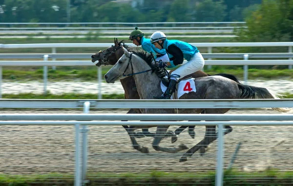 Pyatigorsk Russia September 2020 Hästkapplöpning För Jämförelsepriset Pyatigorsk Hippodrome Den — Stockfoto