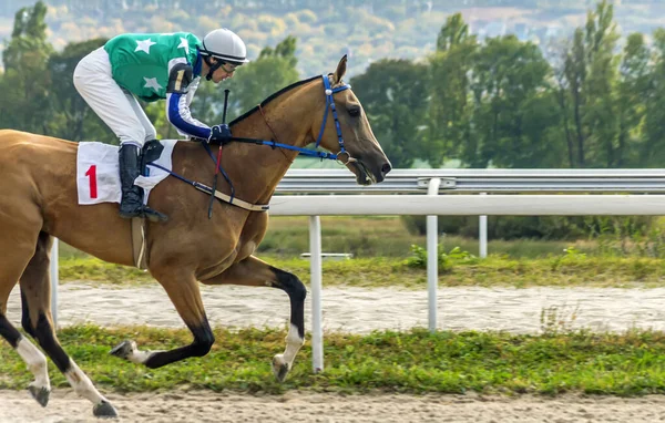 Pyatigorsk Russia September 2020 Pyatigorsk Hippodrome Ahead Jockey Guseynov Timur — 스톡 사진