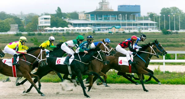 Pyatigorsk Rússia Setembro 2020 Corrida Cavalos Para Prêmio Outono Hipódromo — Fotografia de Stock