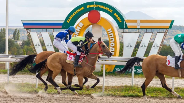 Pyatigorsk Russia September 2020 Paardenrace Voor Afscheidsprijs Het Hippodroom Van — Stockfoto