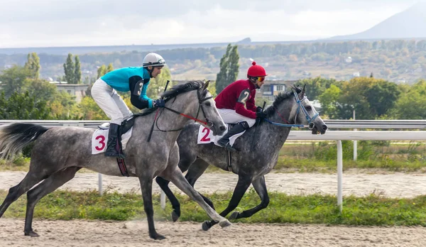 Pyatigorsk Russia Settembre 2020 Corsa Cavallo Premio Congedo Sull Ippodromo — Foto Stock