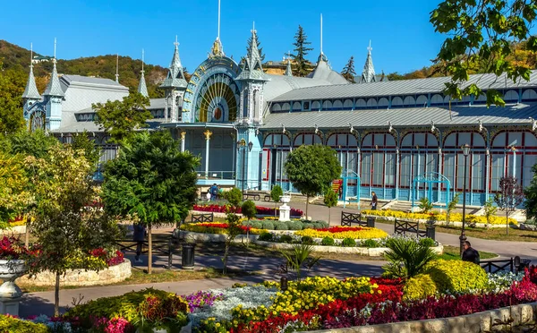 Vue Sur Jardin Fleurs Des Endroits Les Beaux Préférés Station — Photo