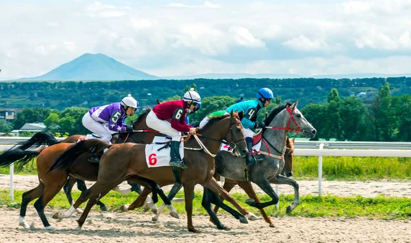 Pyatigorsk Rússia Julho 2019 Corrida Cavalos Para Prêmio Verão Hipódromo — Fotografia de Stock