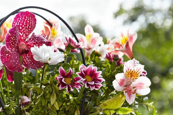 Färska Blommor Med Dagg Droppar Suddig Grön Bakgrund Bokeh — Stockfoto