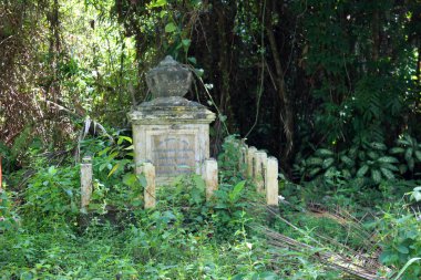 25 Aralık 2017 ilan Hikkaduwa, Sri Lanka ormanda. Popüler turistik Asya hedef