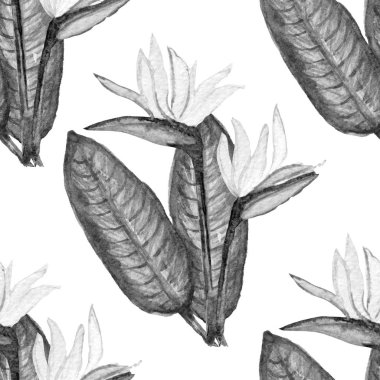 Suluboya STERLİÇYA çiçekler, tasarım öğeleri ile zarif seamless modeli. Çiçek tropik desenli davetiye, tebrik kartları, scrapbooking, baskı, hediye paketi, imalat, tekstil. 