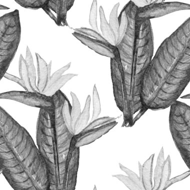 Suluboya cennet kuşu çiçekler, tasarım öğeleri ile zarif seamless modeli. Çiçek tropik desenli davetiye, tebrik kartları, scrapbooking, baskı, hediye paketi, imalat, tekstil. 