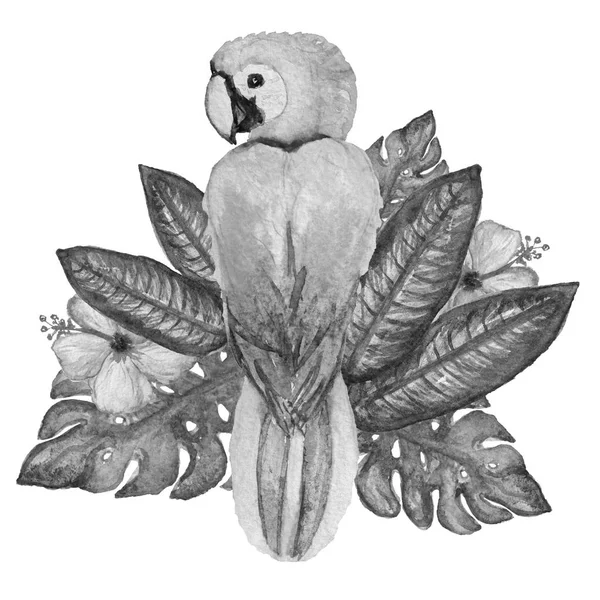 装饰水彩鹦鹉鸟的剪贴画 设计元素 可用于卡片 印刷品的设计 异国情调 热带背景 — 图库照片