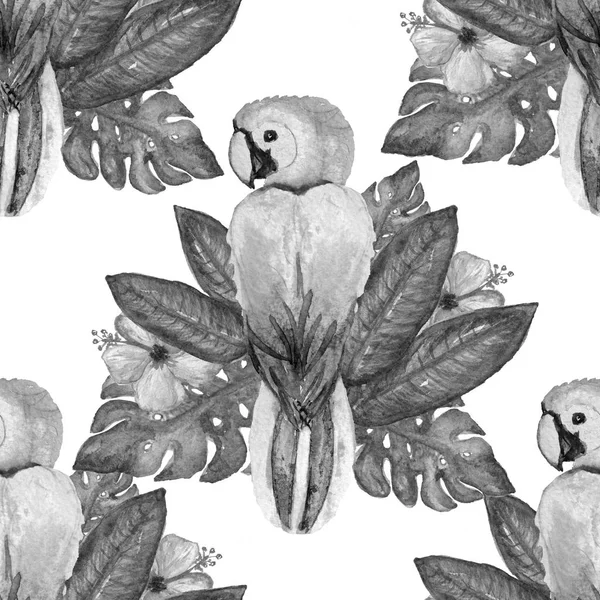 Κομψό Χωρίς Ραφή Πρότυπο Ακουαρέλα Παπαγάλους Σχεδιαστικά Στοιχεία Τροπικό Φλοράλ — Φωτογραφία Αρχείου