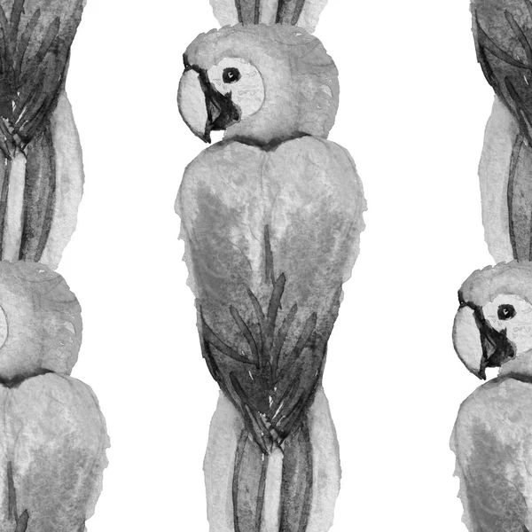 Κομψό Χωρίς Ραφή Πρότυπο Ακουαρέλα Παπαγάλους Σχεδιαστικά Στοιχεία Τροπικό Φλοράλ — Φωτογραφία Αρχείου