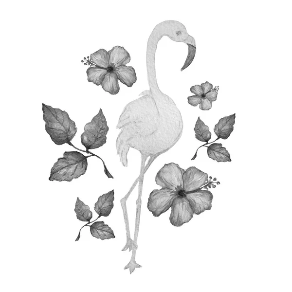 装饰水彩火烈鸟鸟的剪贴画 设计元素 可用于卡片 印刷品的设计 异国情调 热带背景 — 图库照片