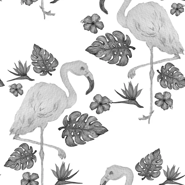 Padrão Sem Costura Elegante Com Aves Watercolorflamingo Elementos Design Padrão — Fotografia de Stock