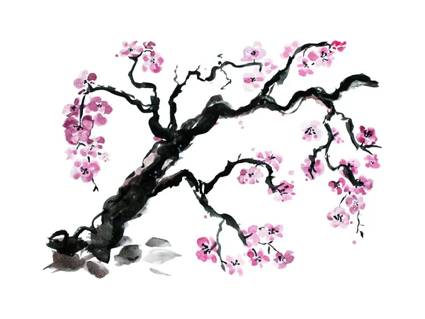 Decorative Watercolor Blooming Sakura Flowers Clipart Design Elements Can Used — Stock Photo, Image