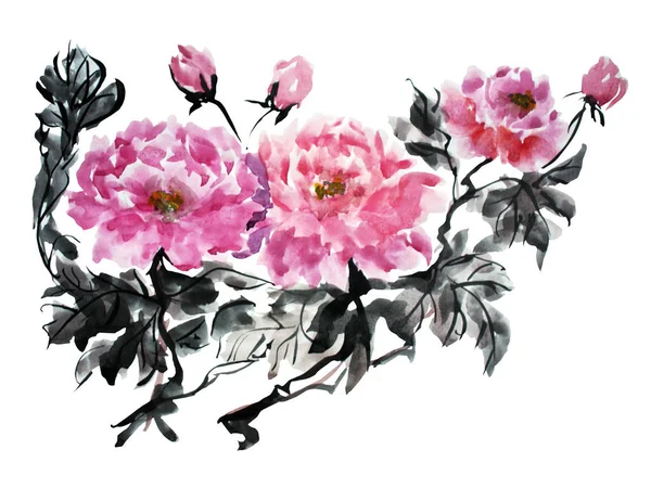 Decorative Watercolor Peony Flowers Clipart Design Elements Can Used Cards — Stock Photo, Image