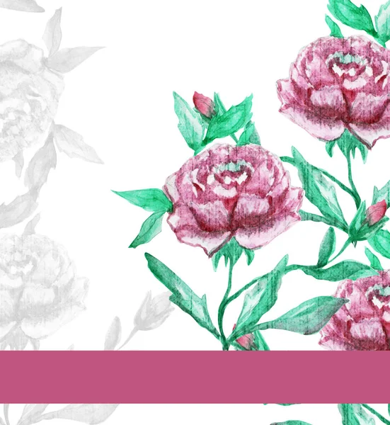典雅的卡片与水彩粉红色牡丹花 设计元素 可用于婚礼 婴儿送礼会 母亲节 情人节 生日贺卡 水彩彩绘花 — 图库照片