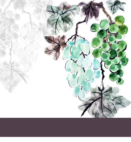 Elegante Kaart Met Aquarel Groene Druiven Ontwerpelement Kan Worden Gebruikt — Stockfoto