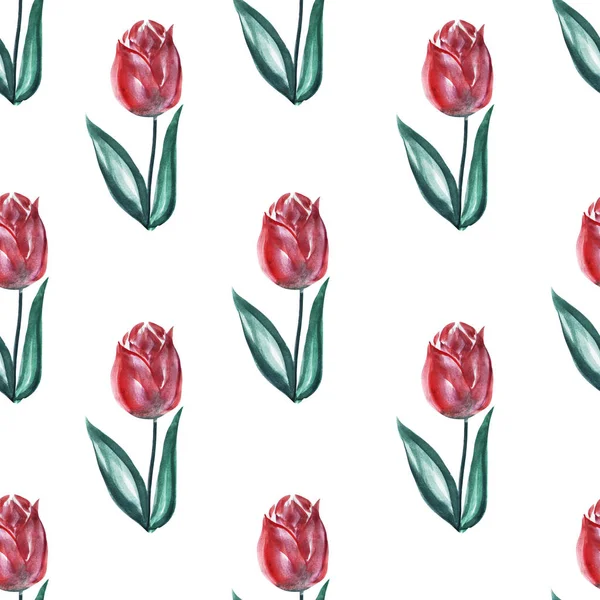 Елегантний Безшовний Візерунок Квітами Акварельних Тюльпанів Елементами Дизайну Квітковий Візерунок — стокове фото