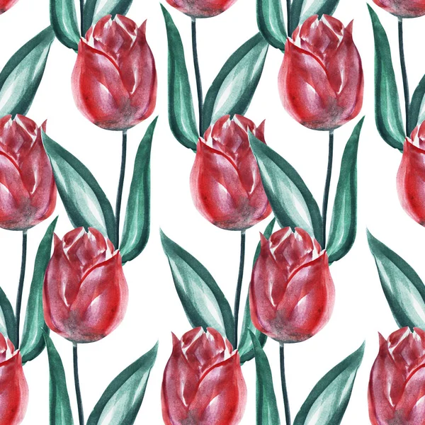 Elegant Seamless Pattern Watercolor Tulip Flowers Design Elements Floral Pattern — Stock Photo, Image