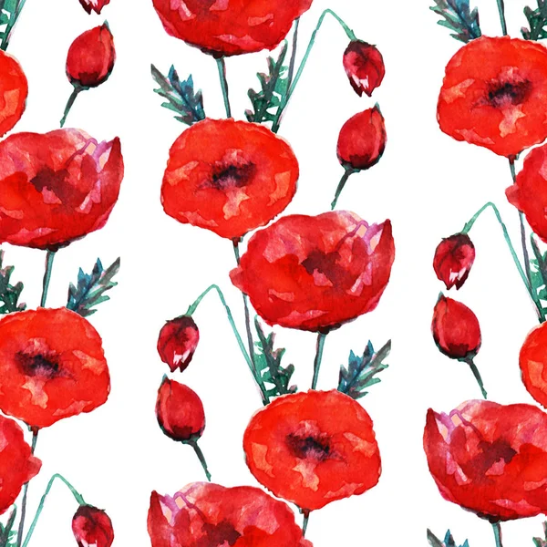 Elegant Seamless Pattern Watercolor Red Poppy Flowers Design Elements Floral — Stock Photo, Image