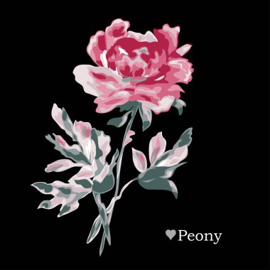 Dekoratif şakayık çiçekleri, tasarım öğeleri. Tasarımını yazdırma, kartları, davetiyeleri, afişler, posterler için kullanılabilir. Suluboya tarzında çiçek arka plan