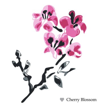 Dekoratif kiraz çiçeği (sakura) çiçekler, tasarım öğeleri. Tasarımını yazdırma, kartları, davetiyeleri, afişler, posterler için kullanılabilir. Suluboya tarzında çiçek arka plan
