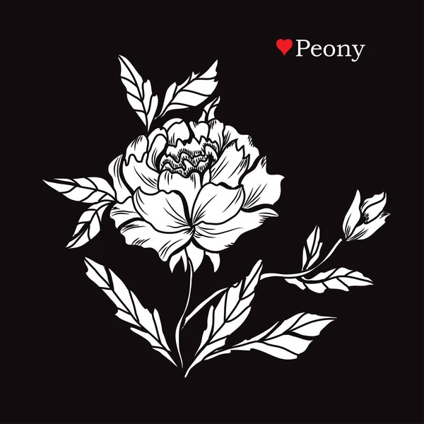 Διακοσμητικά Peony Λουλούδια Σχεδιαστικά Στοιχεία Μπορεί Χρησιμοποιηθεί Για Κάρτες Προσκλήσεις — Διανυσματικό Αρχείο