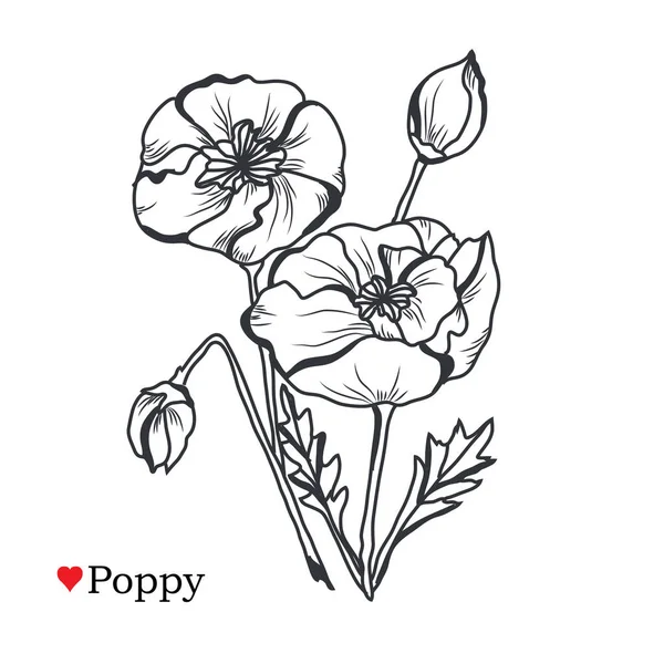 Διακοσμητικά Λουλούδια Παπαρούνας Σχεδιαστικά Στοιχεία Μπορεί Χρησιμοποιηθεί Για Κάρτες Προσκλήσεις — Διανυσματικό Αρχείο