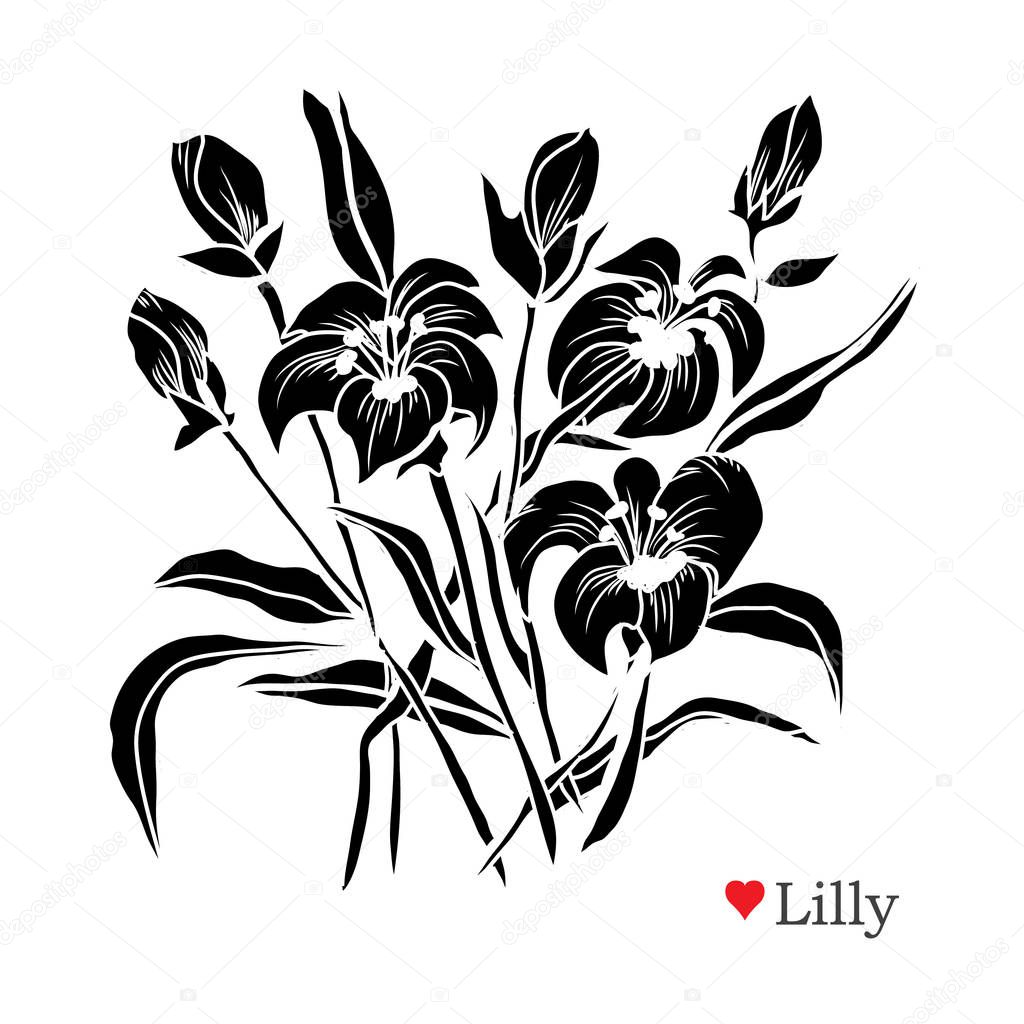 Decorative lily  flowers, design elements. Can be used for cards, invitations, banners, posters, print design. Floral background in line art style