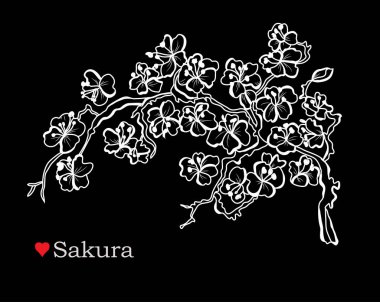Dekoratif sakura çiçekler, tasarım öğeleri. Tasarımını yazdırma, kartları, davetiyeleri, afişler, posterler için kullanılabilir. Çiçek arka planda satır sanat tarzı