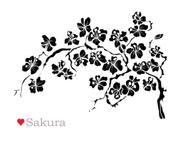 Dekoratif sakura çiçekler, tasarım öğeleri. Tasarımını yazdırma, kartları, davetiyeleri, afişler, posterler için kullanılabilir. Çiçek arka planda satır sanat tarzı