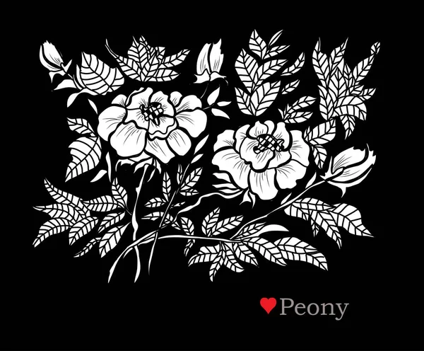 Διακοσμητικά Peony Λουλούδια Σχεδιαστικά Στοιχεία Μπορεί Χρησιμοποιηθεί Για Κάρτες Προσκλήσεις — Διανυσματικό Αρχείο