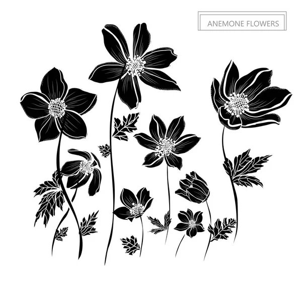 装饰银莲花花 设计元素 可用于贺卡 平面设计 线条艺术风格的花卉背景 — 图库矢量图片