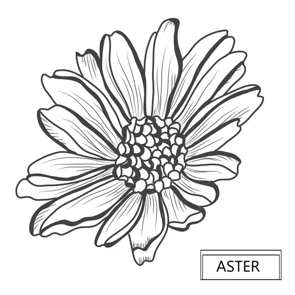 装饰花 设计元素 可用于贺卡 平面设计 线条艺术风格的花卉背景 — 图库矢量图片
