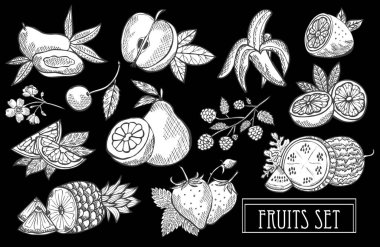 Elle çizilmiş dekoratif meyve ayarla, tasarım öğeleri. Kullanılabilir kartları, davetiyeler, scrapbooking, baskı, üretim için. Gıda, mutfak tema. Çizgi sanatı stili