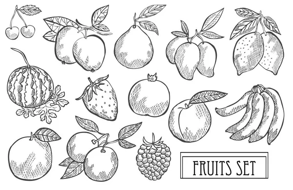 Set Frutta Decorativi Disegnati Mano Elementi Design Può Essere Utilizzato — Vettoriale Stock