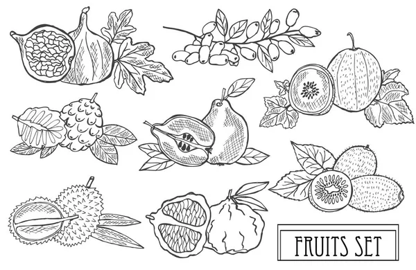 Elle Çizilmiş Dekoratif Meyve Ayarla Tasarım Öğeleri Kullanılabilir Kartları Davetiyeler — Stok Vektör