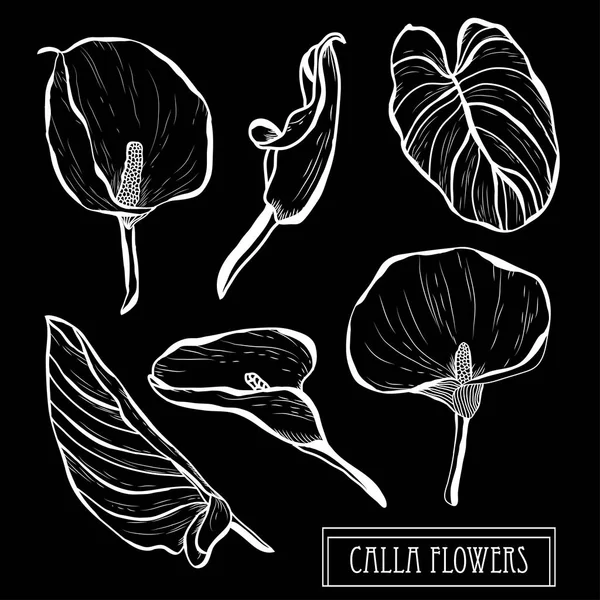 Dekoratif calla çiçekler ayarla, tasarım öğeleri. Tasarımını yazdırma, kartları, davetiyeleri, afişler, posterler için kullanılabilir. Çiçek arka planda satır sanat tarzı