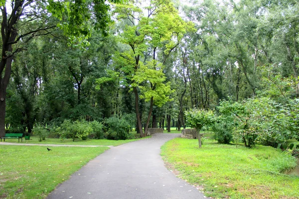 Road Beautiful Green Park Trees Green Grass Blue Sky Background — Stock Photo, Image