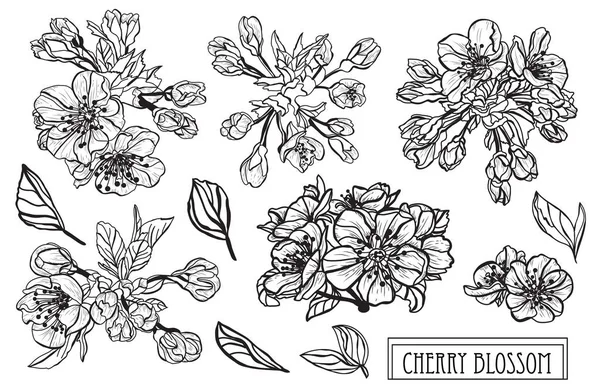 装饰樱花花集 设计元素 可用于贺卡 平面设计 线条艺术风格的花卉背景 — 图库矢量图片